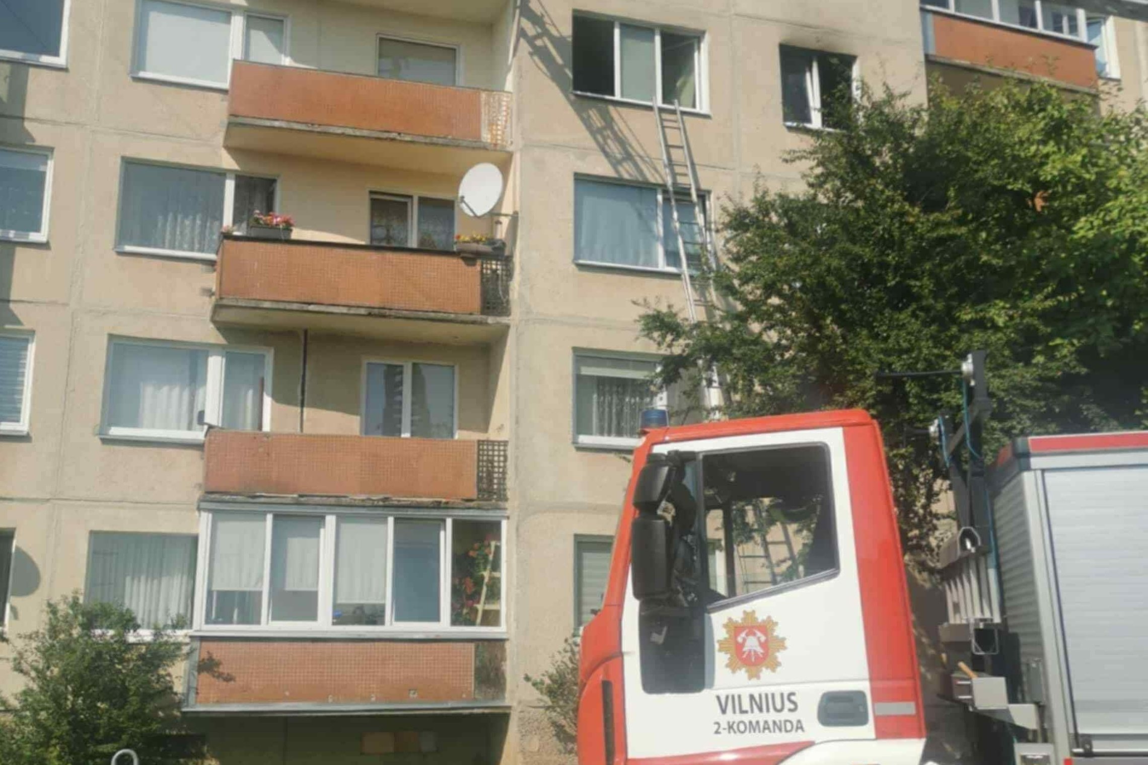 Iliustracija