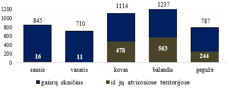 7_atv_MEN_26_05.jpg