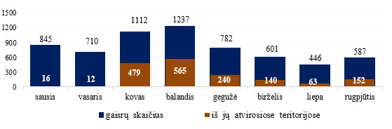 6_atv_MEN_26_08.jpg